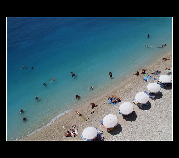 Life on the Beach