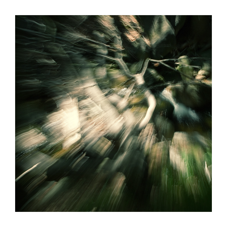 ve spárech (zl)obra...