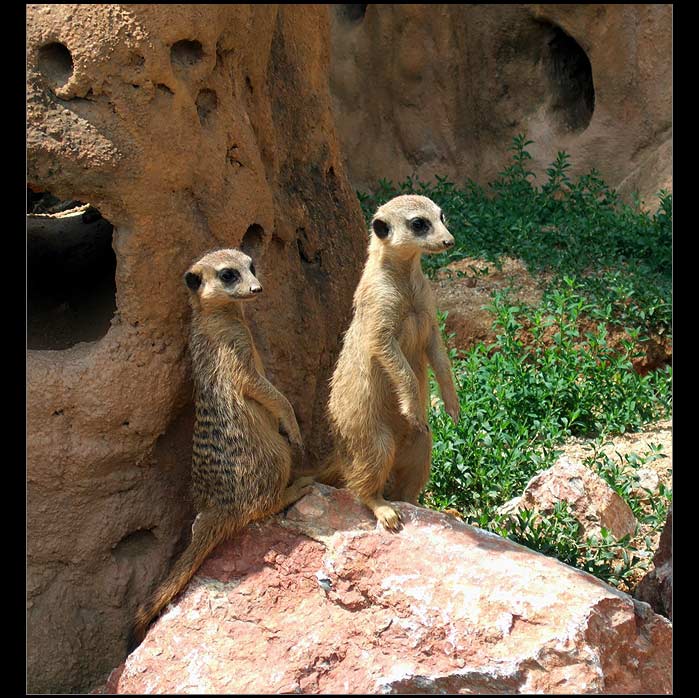 Brácho, na slunce moc nechoď!