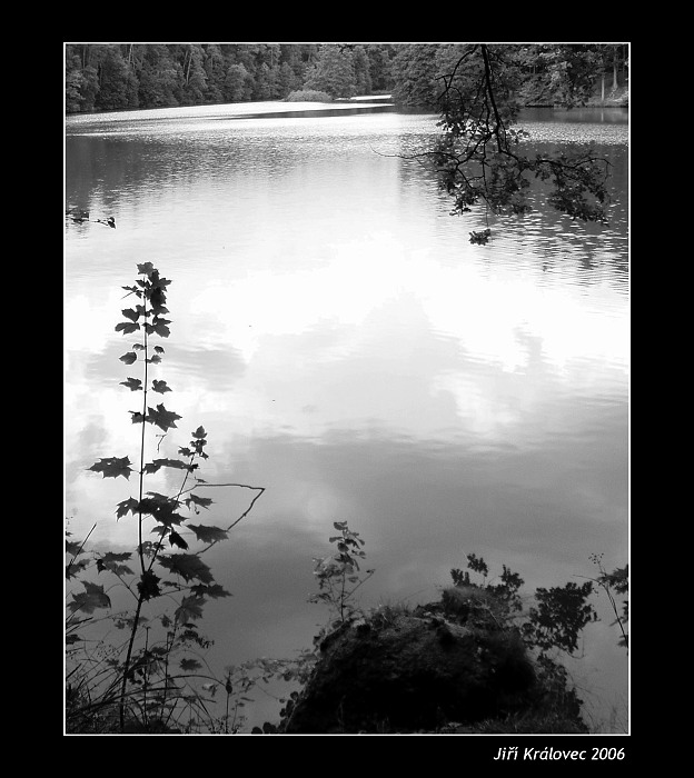 Konopiště 3