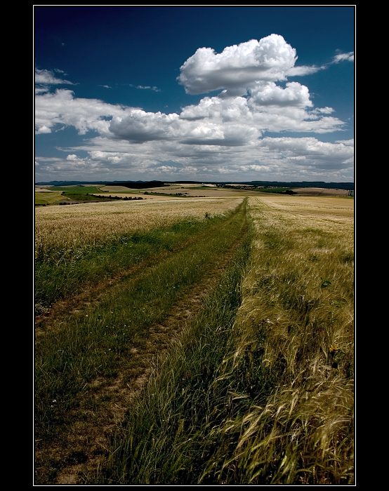 Před žněmi