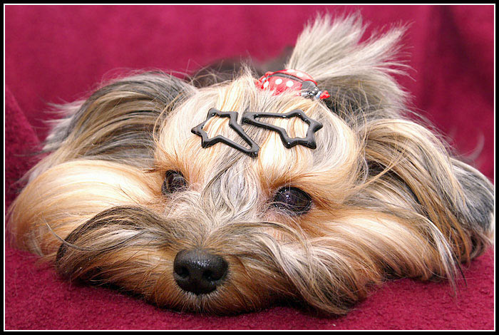 ... milááásek ...