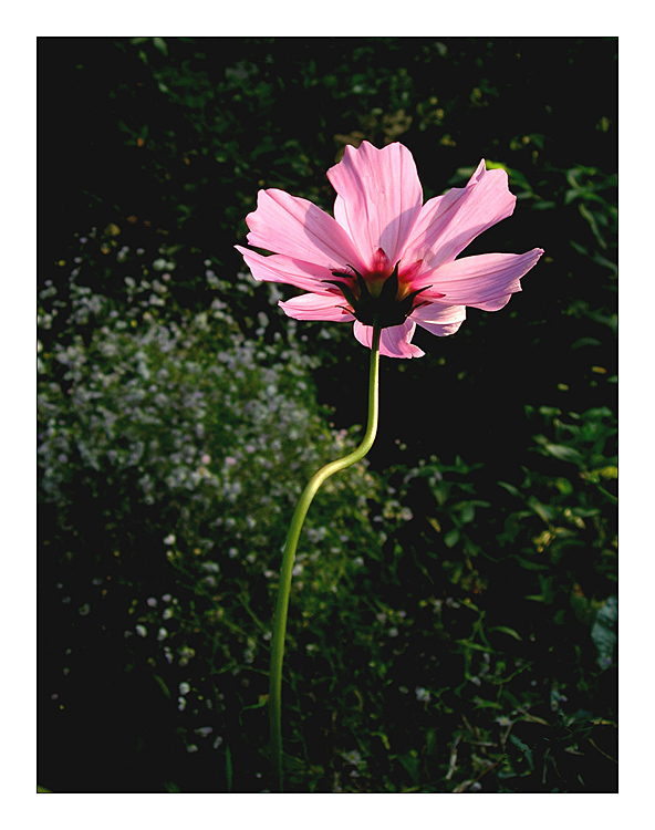 Ještě trochu světla...