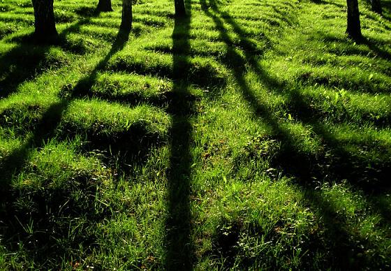 ... a kde jsou ti vojáci, co se s nimi mohlo stát ...