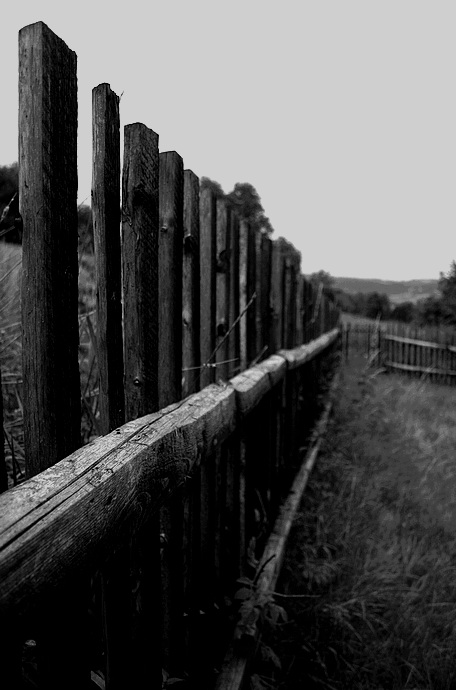 podél plotu až k vrátkům na konci jsem šel