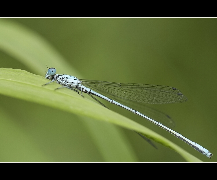 ...já Tě vidím...