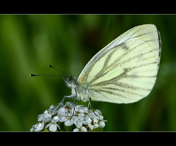 ...už mi je trochu zima, asi to zabalím...