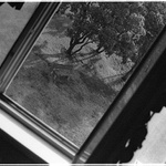 Dobré ráno Michle :: 1