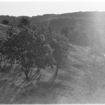 Dobré ráno Michle :: 3