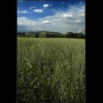 .: SKOČDOPOLE :.