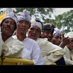 Šest balíků na korbě