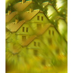 Dům, zahrada a slunečnice