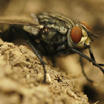 A teď všichni tleskejte se mnou!