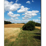 u nás na chalupě :)