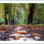 ... na společné cestě ...