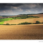 Slunné dny pozdního léta