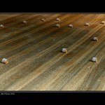 Poněkud jiný pohled na slámu...