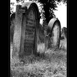 --- zid. hrbitov ---