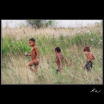 U trati Plzeň-Praha I