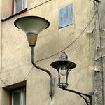kde rostou lampy?...