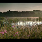 -- tam za vodou v rákosí --