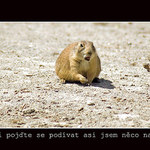 HEY chlapci ... !!!