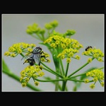 Stejně tě dohoním