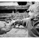 šimon I - happy dog