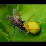 ..prostě k nakousnutí...