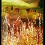 ...: magical countryside :...