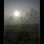 ~ The Silence ~