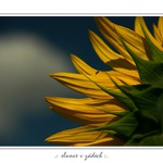 .:slunce v zádech:.