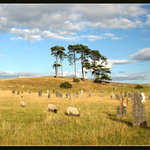 Ireland