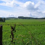 Bybylon u Domazlic-chtelo by to polarizak :-(