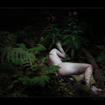 Hluboko v lesích...