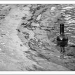 Bez názvu ( Olomouc, 08/2006 )