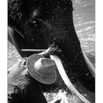 :::  severní Thajsko II. :::