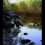 Švédsko - jezero Mälaren