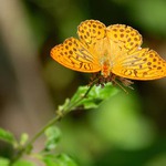 HRVATSKA -01- Tak něco do začátku