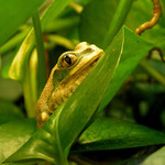 Ty největší krásy světa jsou obvykle nepozorným skryté.