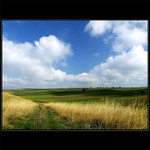 ...tam kde pole konči a začina step...