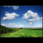 ...venku je parno...