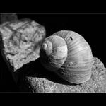 opuštěný domeček