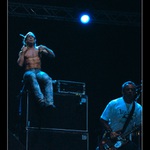 Iggy pop v plnom nasadeni