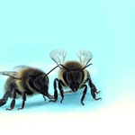 připraveny ke startu