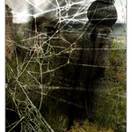 ... they are comming ...