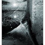 ... este 20 rokov a som vonku