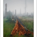 ...Poločas rozpadu...