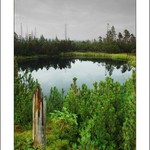 ... Rozdíl stovky let ...