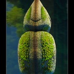 ... Kamená kapka ...